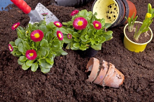 A transformed Forestgate garden with fresh planting and a neat layout