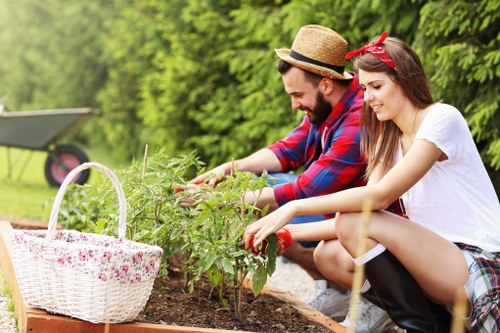 Stylish Forestgate garden landscaping with structured planting and a welcoming entrance