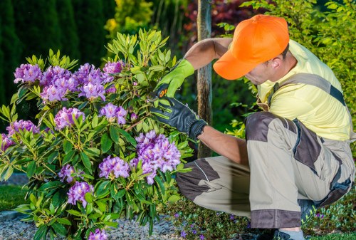 Landscaping team preparing a safe outdoor project in Forestgate