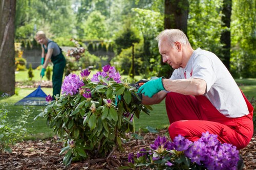Balanced landscape design in Forestgate with trees shrubs and paved garden features