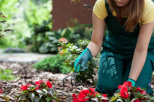 Keyboard navigation and accessible website controls for landscaping information