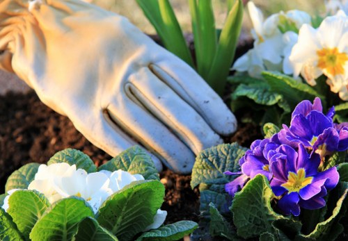 Ongoing accessibility review for Landscaping Forestgate website pages