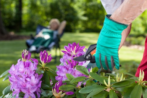 Accepted payment methods for Landscaping Forestgate clients