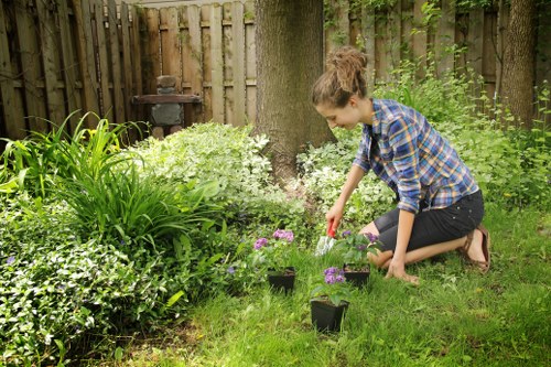 Low-maintenance garden transformation for a Forestgate home