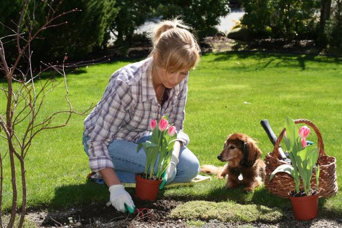 Planning a garden drainage solution for a wet lawn in Forestgate