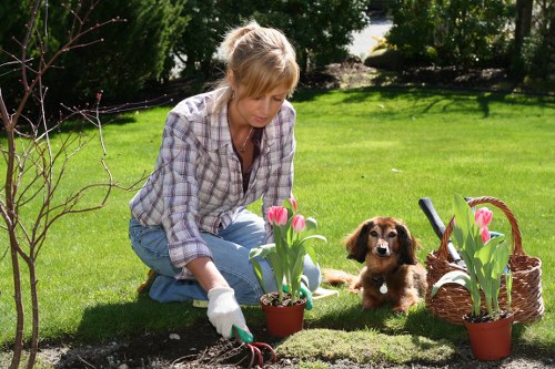 Forestgate garden makeover with turf, edging, and patio layout improvements