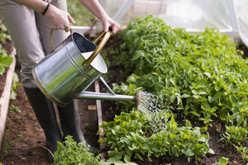 Forestgate landscaping project featuring planting beds and clean borders