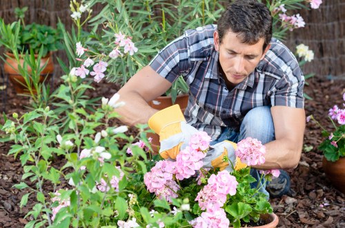 Supplier compliance review for landscaping operations